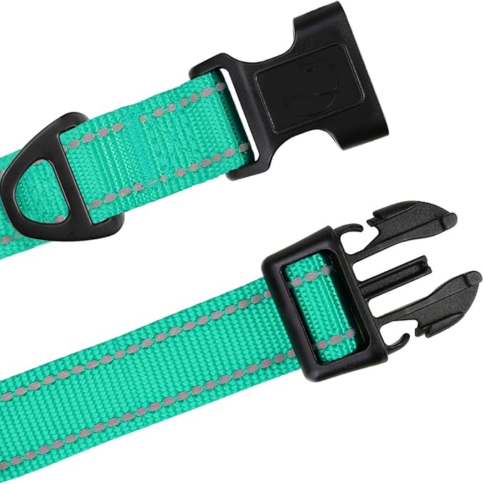 TagME Reflective Nylon Dog Collars, Adjustable Classic Pet Collar with Quick Release Buckle for Extra Small Dogs, Turquoise, 5/8" Width
