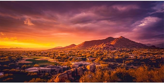 AWERT 36x20 inches Sun and Desert Terrarium Background Mountain Oasis Gobi Reptile Habitat Background Vinyl