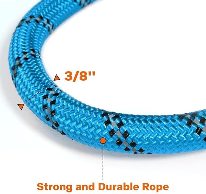 Taglory Rope Dog Leash 6 FT with Comfortable Padded Handle, Highly Reflective Threads Leash and Anti-Tangle Clip for Walking Small Dogs, 3/8 inch, Blue