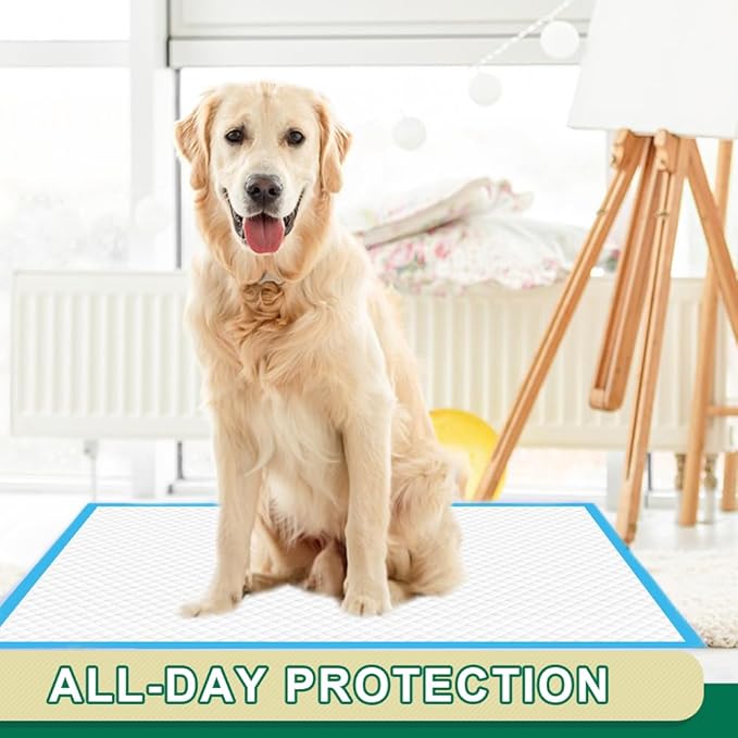 IMMCUTE Puppy Pee Pads 22"x23", 50 Count, Super Absorbent Leak-Proof Disposable Dog Training Pads for Puppies, Adult Dogs Cats & Other Pets Potty Piddle Pads for Crate, Kennel & Indoor/Outdoor Use