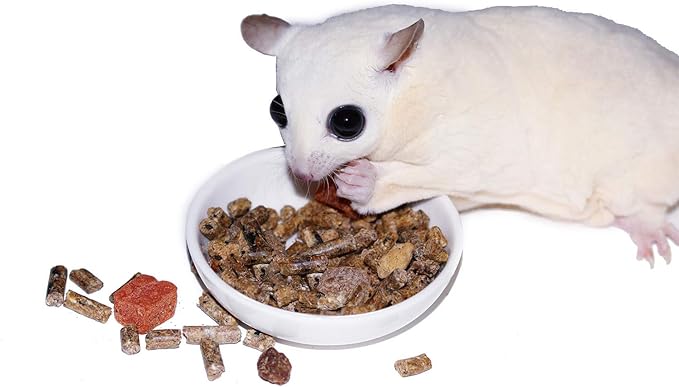 Exotic Nutrition Glider Complete 18 lb | Natural Fruit Bits | Sugar Glider Food