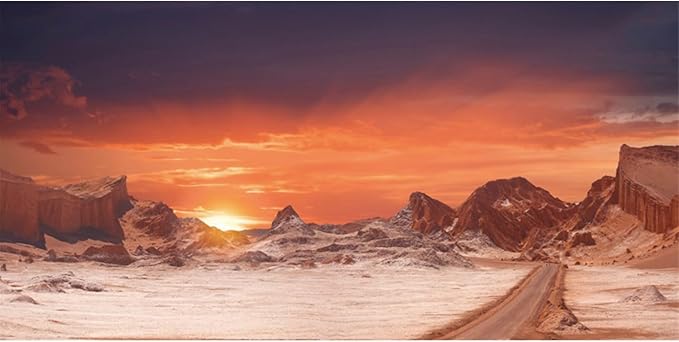AWERT 48x20 inches Sun and Desert Terrarium Background Orange Reptile Habitat Background Durable Polyester Background