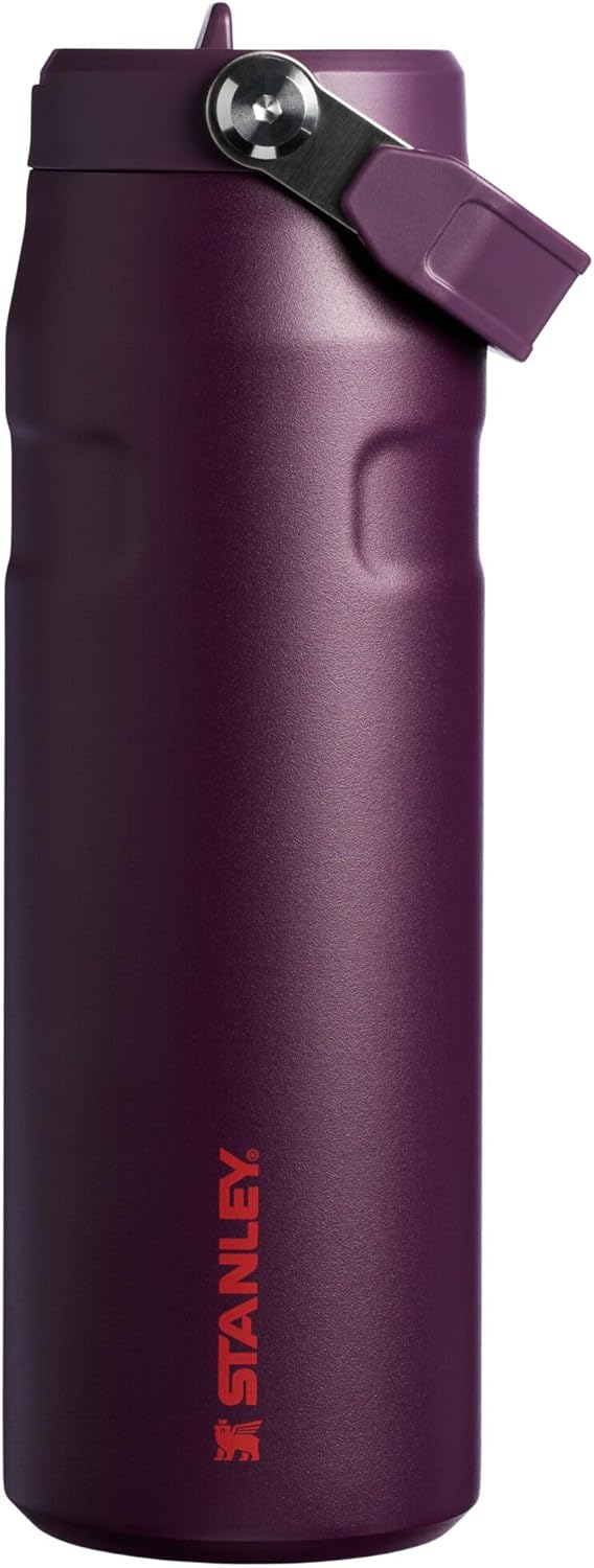 Stanley IceFlow 2.0 Water Bottle - 24 OZ Insulated Stainless Steel | Lightweight, Leak-Resistant & BPA-Free | Plum