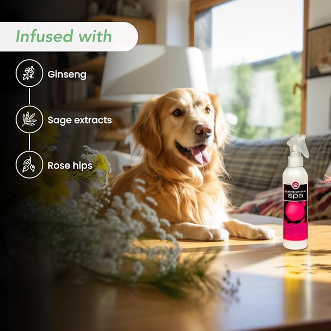 Best Shot Scentament Spa Botanical Body Splash, Detangler Spray, Body Spray for Pets, Cat and Dog Cologne Spray, Wild Orchid Vanilla, 8 Oz.