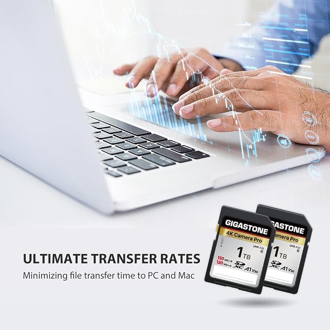 【5-Years Data Recovery】 GIGASTONE 1TB SDXC Memory Card 4K Pro Series Camera