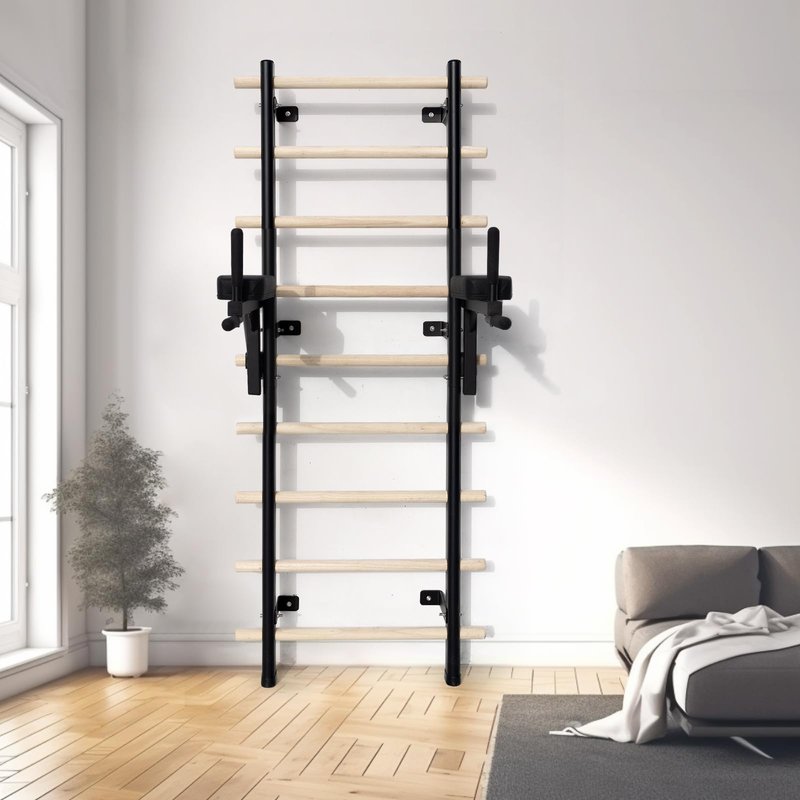 RIOWLAU Swedish Ladder Dip Bar Attachment, Fits TS003A Ladder, Wood Stall Bar for School, Physical Therapy and Gymnastics, Multi-grip (Black, 28"L x 6"W x 20"H)