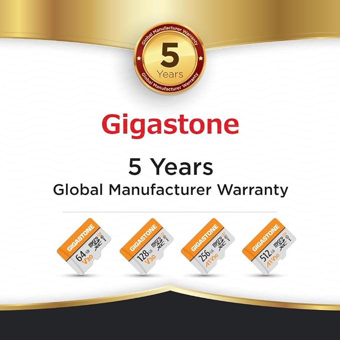 GIGASTONE 64GB Micro SD Card 2-Pack, V30 4K Video Recording, Surveillance