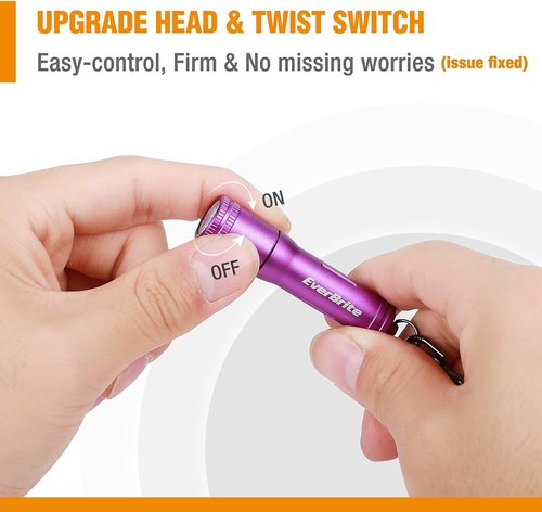 EverBrite Mini LED Keychain Flashlight - Bright Portable Pocket Torch for EDC & Emergencies | Purple