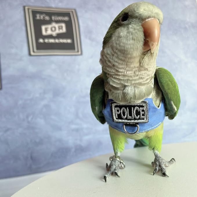 Bird Flight Harness Vest, Parrot Flight Suit with Leash, Bird Flying Clothes with Rope and Handle for Outdoor Activities (Without Leash,Cockatiel)