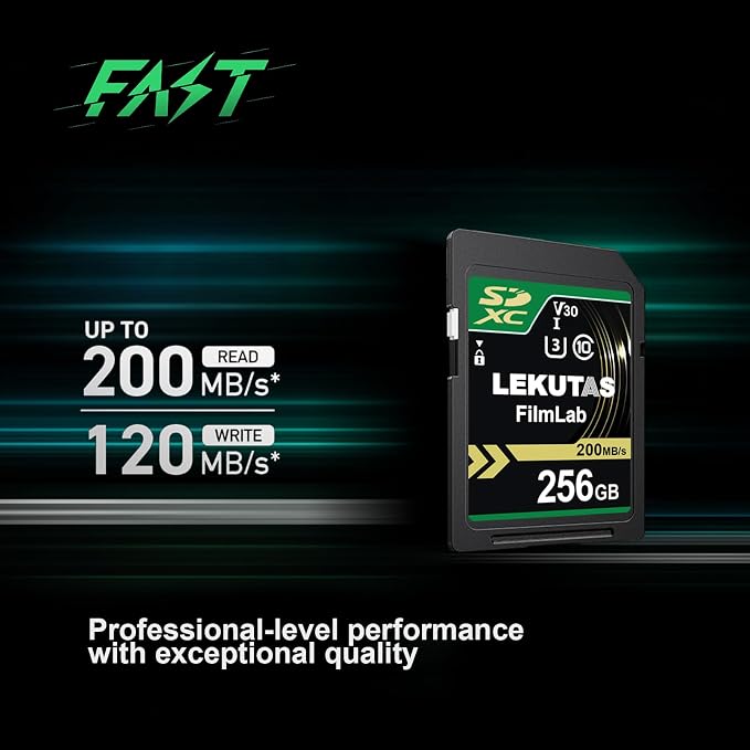 256GB SDXC UHS-I Memory Card