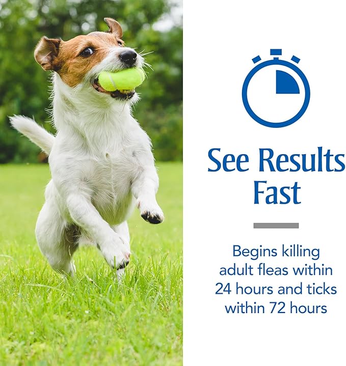 PetArmor for Dogs, Flea and Tick Treatment for Small Dogs (5-22 Pounds), Includes 6 Month Supply of Topical Flea Treatments