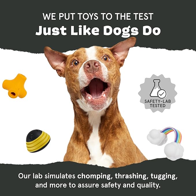 Barkbox Franz The Fox Dog Toy | Natural Rubber, Bacon Scented, Thrashy Tail & Wacky Bounce | Dog Toy for Aggressive Chewers