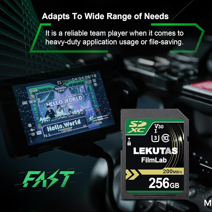 256GB SDXC UHS-I Memory Card