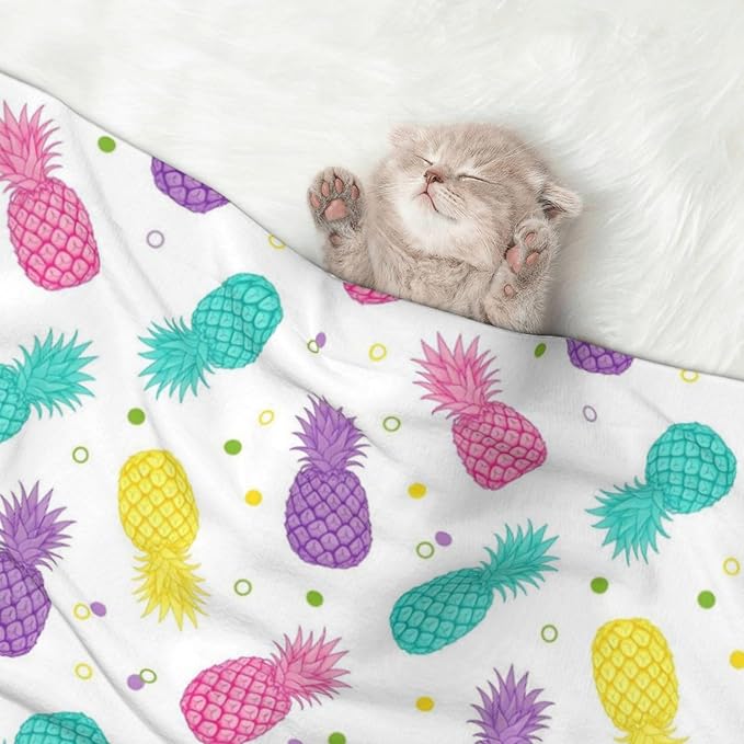 Pet Blanket for Couches and Beds, Colorful Tropical Summer Pineapple Print, Reversible Double Sided Plush Design with Soft Bumpy Texture and Smooth Surface, Furniture Protector