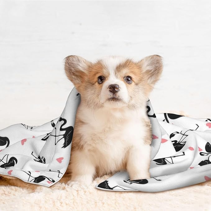 Two Sided Pet Cuddler Blanket for Anxiety Calming, Flamingo, Reversible Plush Design with Bubble Dot Pattern Provides Familiar Surface Anywhere