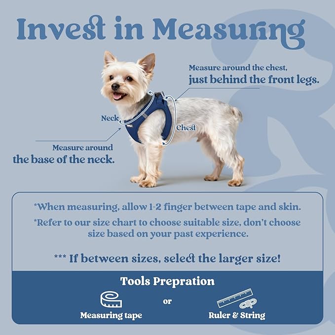rabbitgoo Small Dog Harness, Step-in Soft Mesh Puppy Vest with Safety Buckle, Breathable Reflective Pet Harness for Small Medium Dogs, Navy Blue XL