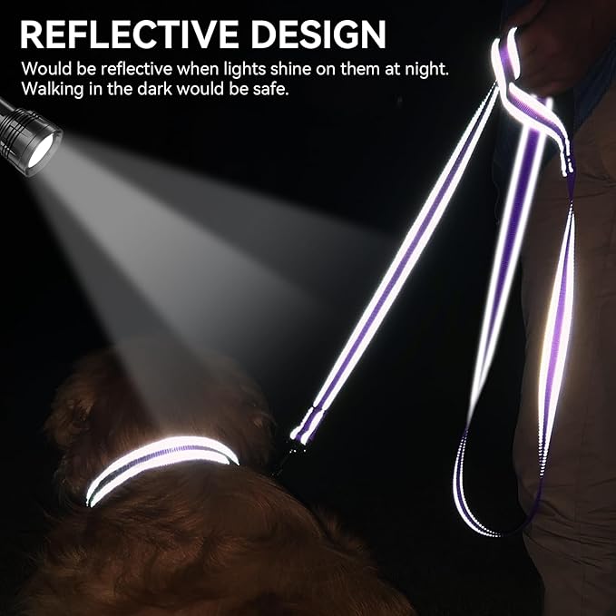 Joytale Dog Leash, 6 FT Double-Sided Reflective, Padded Handle Nylon Heavy Duty Leashes for Small Dogs Walking, Purple