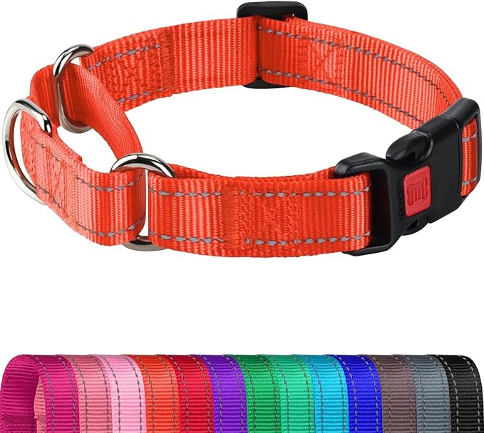 Joytale Martingale Collar for Dogs, Reflective Heavy Duty for Safety, Quick Release Buckle, Adjustable Nylon Collars for Medium Dogs Walking Training, Orange,M