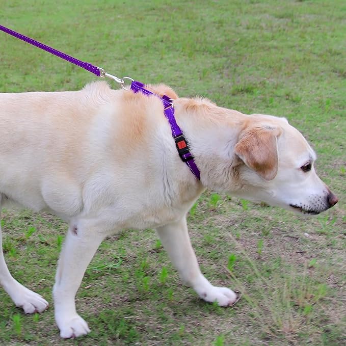 Joytale Martingale Collar for Dogs, Reflective Heavy Duty for Safety, Quick Release Buckle, Adjustable Nylon Collars for Puppy and XSmall Dogs Walking Training, Purple,XS
