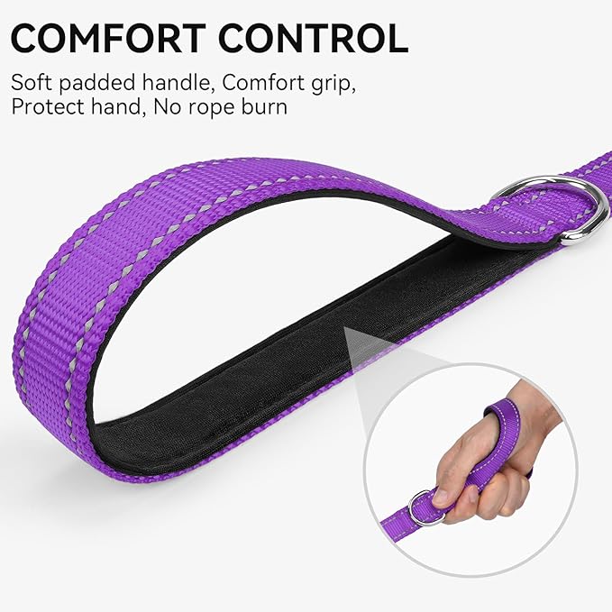 Joytale Dog Leash, 6 FT Double-Sided Reflective, Padded Handle Nylon Heavy Duty Leashes for Medium & Large Dogs Walking, Purple