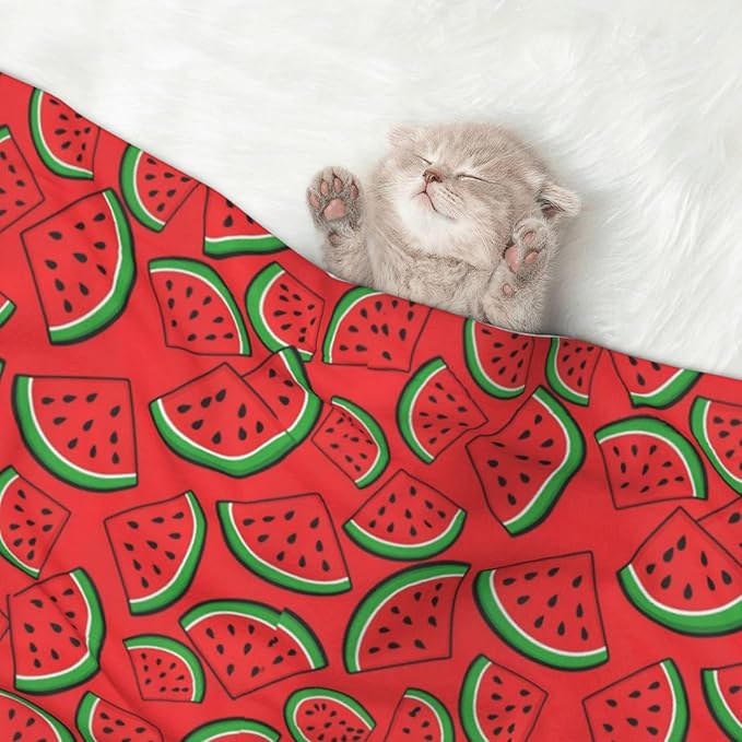 Reversible Dog Blanket for Beds Couches, Summer Fruit Red Green Watermelon, Double Sided Cat Blanket with Textured Dot Feel and Smooth Feel for Seasonal Comfort All Year