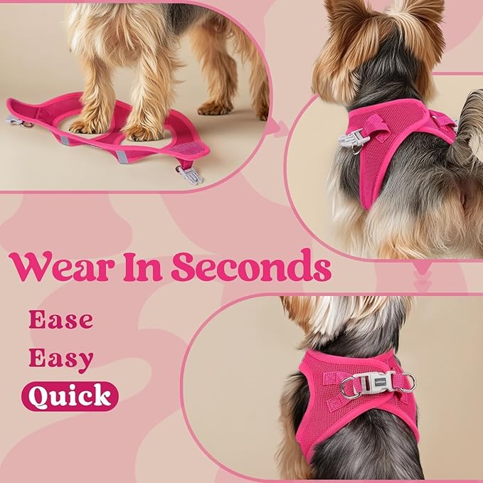 rabbitgoo Small Dog Harness, Step-in Soft Mesh Puppy Vest with Safety Buckle, Breathable Reflective Pet Harness for Extra Small Dogs, Rose Red XXS