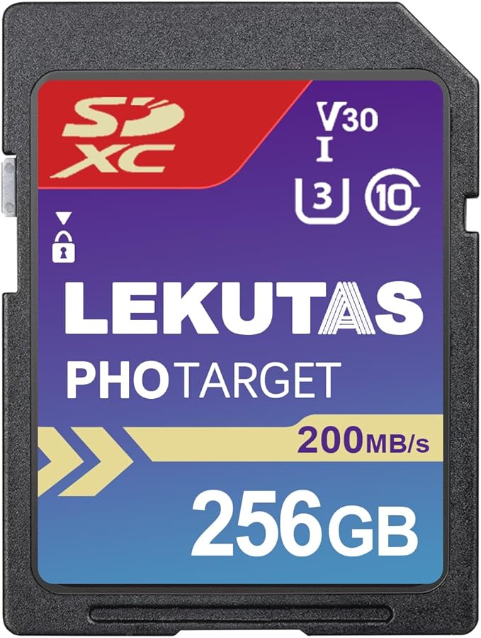 256GB SDXC UHS-I Memory Card
