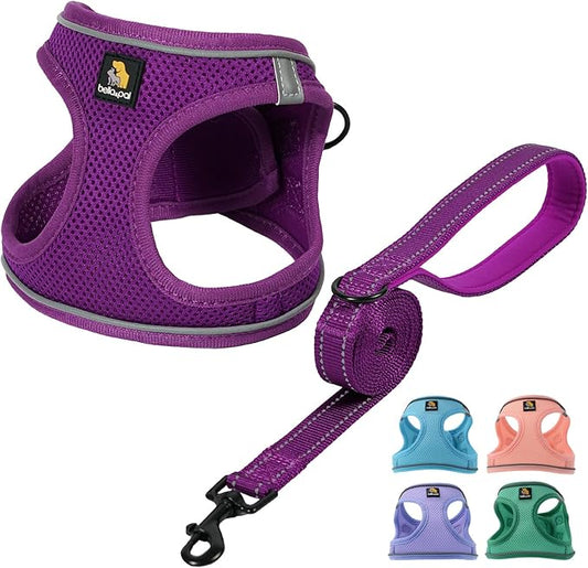 BELLA & PAL Step in Vest Harness for Small and Medium Dogs, No Pull Small Dog Harness with Leash Set, Comfortable Air Mesh Dog Vest Harness with Reflective Strip (Grape Purple, M)