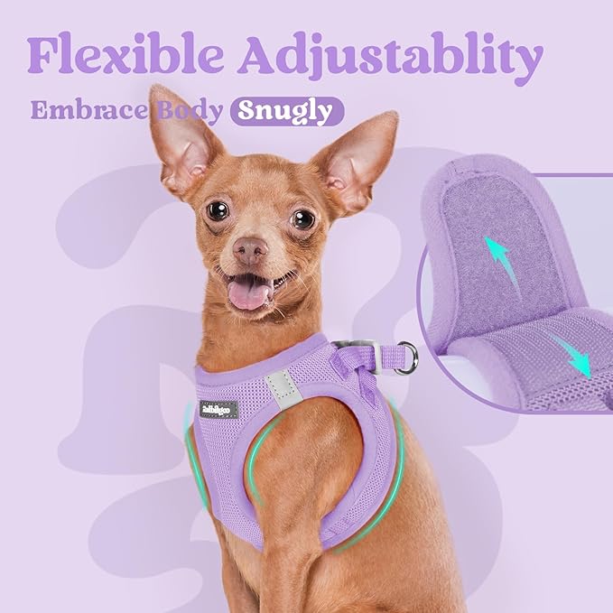 rabbitgoo Small Dog Harness, Step-in Soft Mesh Puppy Vest with Safety Buckle, Breathable Reflective Pet Harness for Small Medium Dogs, Light Purple L
