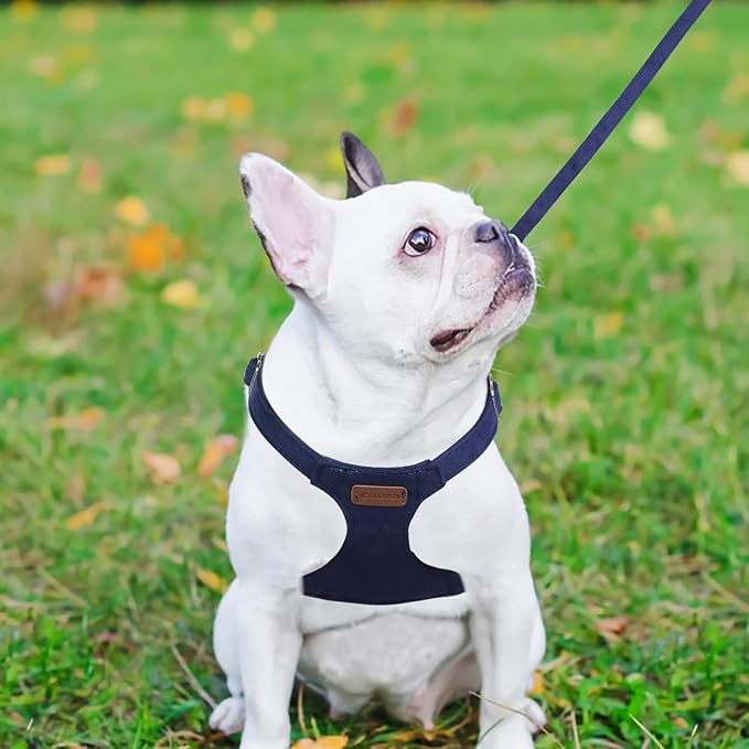 Dog Harness and Leash Set, S No Pull Adjustable Puppy Harness with Multifunction Denim Blue Dog Leash and Collar, Soft No Choke Escape Proof Pet Harness Vest for Small Dogs and Cats (Denim Blue, S)…
