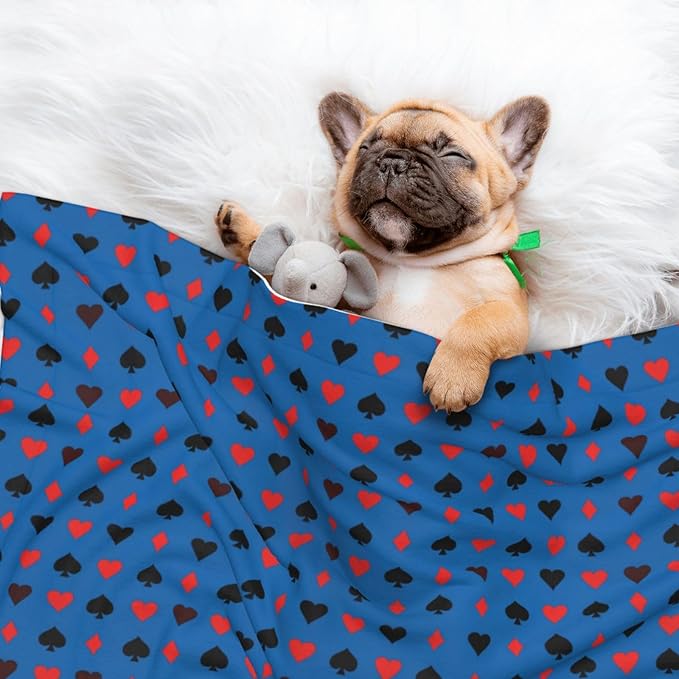 Pet Blanket for Couches and Beds, Poker Playing Cards, Reversible Double Sided Plush Design with Soft Bumpy Texture and Smooth Surface, Furniture Protector