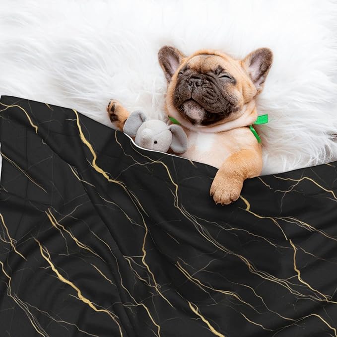 Dog and Cat Blanket in One, Chic Black and Gold Marble Texture, Double Sided Plush Throw with Raised Dot Pattern on One Side and Flat Velvet on Other for Variety