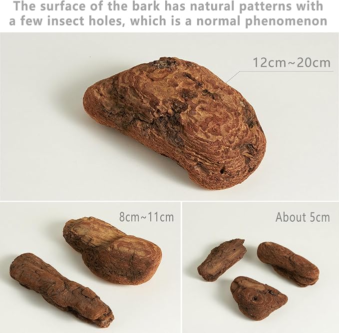Product Photography Props for Photoshoot: 6PCS Natural Forest Wood Photo Props-