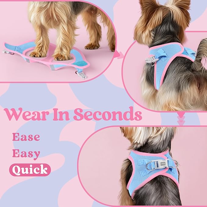 rabbitgoo Small Dog Harness, Step-in Soft Mesh Puppy Vest with Safety Buckle, Breathable Reflective Pet Harness for Extra Small Dogs, Blue & Light Pink XXS