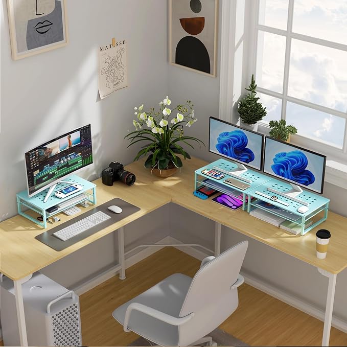 gianotter 2-Tier Metal Monitor Stand Riser, Desk Organizer