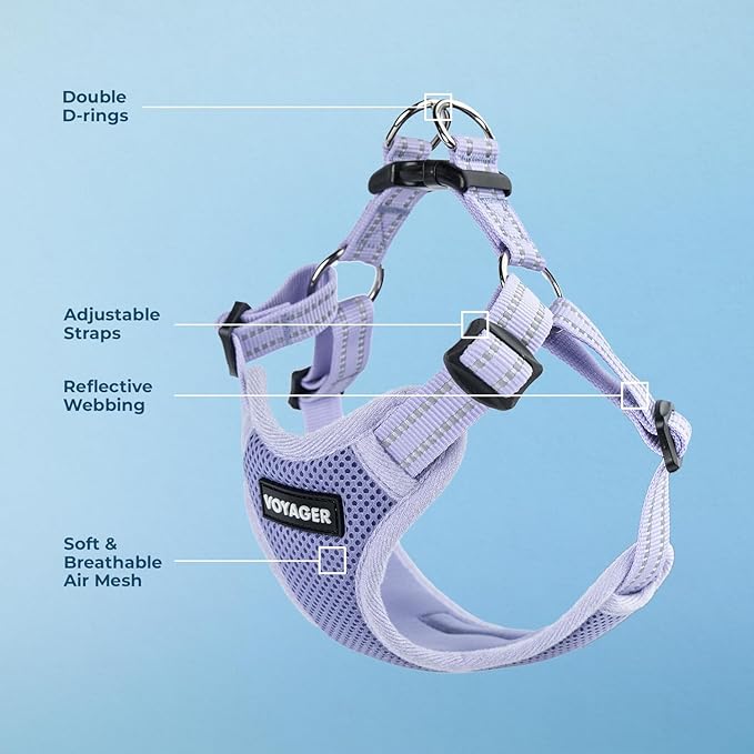 Best Pet Supplies Voyager Adjustable Step-in Flex Breathable Mesh Dog Harness for Small Medium Large Dogs (Lavender), L