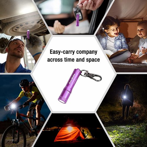 EverBrite Mini LED Keychain Flashlight - Bright Portable Pocket Torch for EDC & Emergencies | Purple