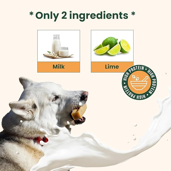 Authentic Himalayan Yak Cheese for Dogs - Large/XLarge (Pack of 4) - Sourced from Pristine Himalayan Foothill, Rawhide-Free, NO preservatives