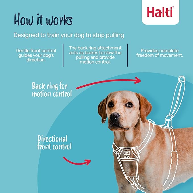 Halti No Pull Harness - Stop Your Dog Pulling on The Leash. Adjustable, Lightweight and Easy to Use. Reflective Dog Training Harness for Small Dogs (Size S, Burnt Orange)