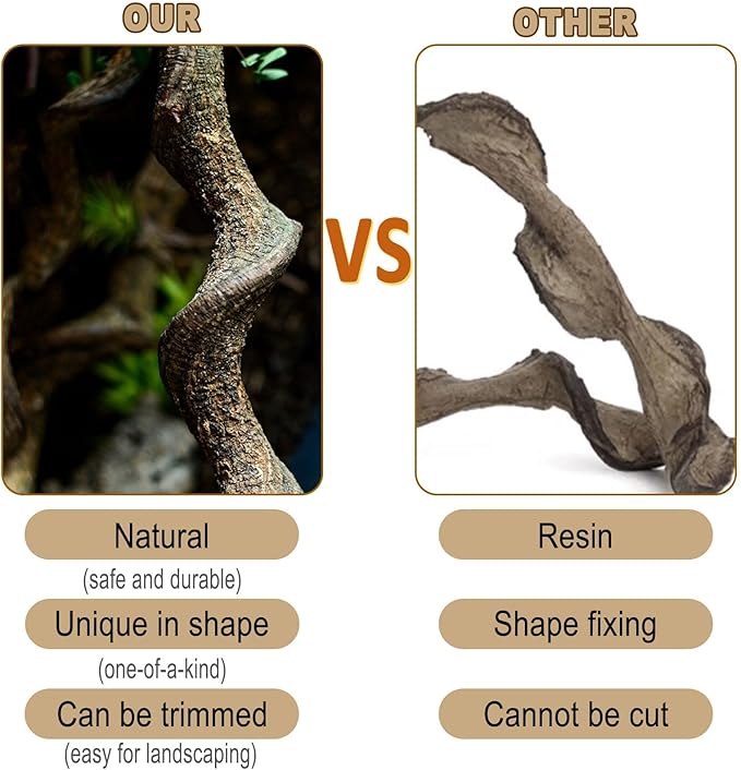 BNOSDM Reptile Forest Climbing Branch Decor Crested Gecko Climb Wood Natural Branches Tree for Snake Frog Chameleon Spider Bearded Dragon Terrarium Habitat Tank Accessories,4PCS