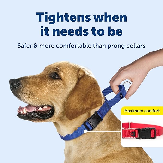 PetSafe Martingale Collar with Quick Snap Buckle - Humane Gentle Correction for Safer Walks - Adjustable No-Slip Design - Durable Nylon Material - Medium - Royal Blue