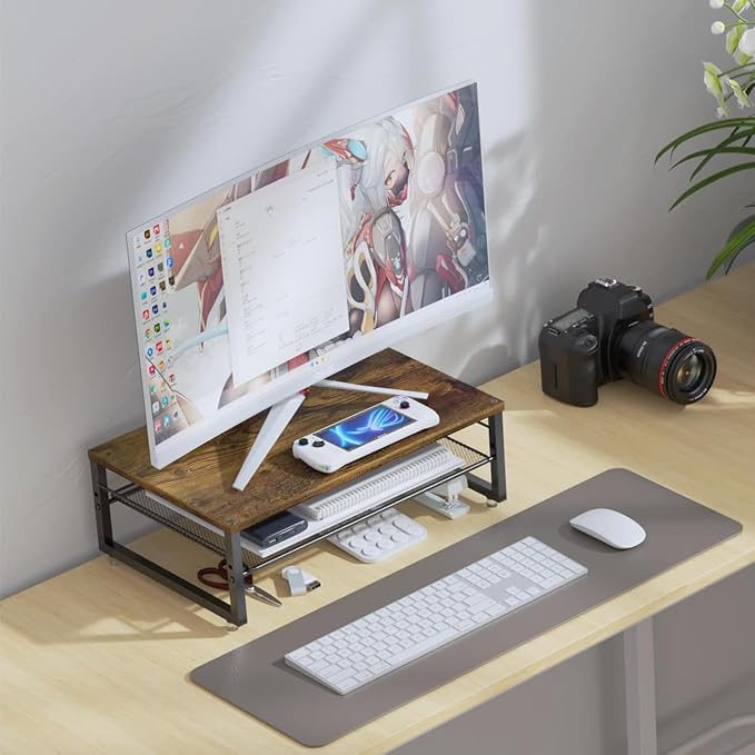gianotter 2-Tier Metal Monitor Stand Riser, Desk Organizer