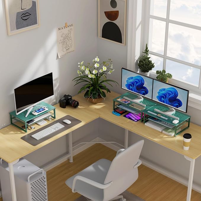 gianotter 2-Tier Metal Monitor Stand Riser, Desk Organizer