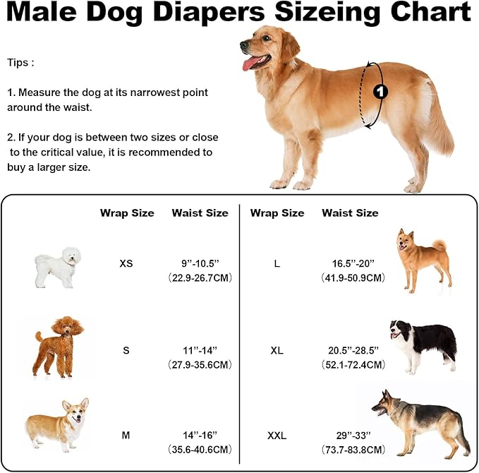 Washable Dog Diapers Male Large, Premium Belly Bands for Dogs Reusable, Pack of 3, High Absorbing Large Puppy Diapers n Incontinence or Excitable Urination and Training(L)