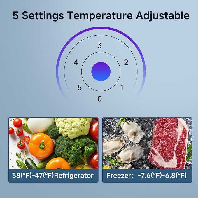 Apartment 7.1 Cu.Ft Refrigerator with Bottom Freezer Black | Office Fridge with Bottom Freezer, Large Capacity, Energy Saving, Adjustable Thermostat, Low Noise