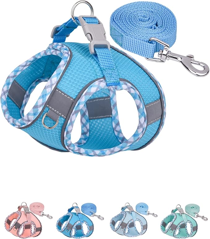 Petank Dog Harness for Small Medium Dogs No Pull, Puppy Harness and Leash Set, Step in Dog Harness for Walking, Running, Training, Small Dog Vest, Medium Dog Vest (Bule, XS)