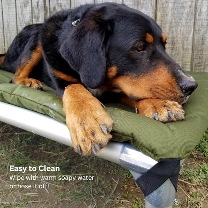 Kuranda Chewproof Elevated Pet Bed - Silver Aluminum - 40" x 25" - Sunsure Textilene - Birch