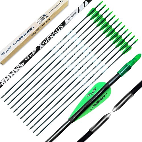Lanneret Archery Practice Target Arrows - 26/28 Inch Fiberglass Arrows for Kids & Beginners (Pack of 12)