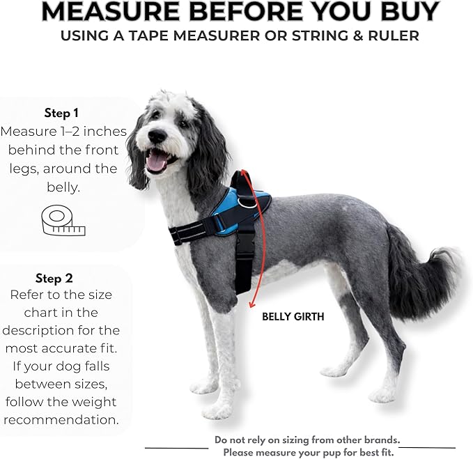 ShawnCo Essential Dog Harness, No-Pull Pet Vest with 3 Leash Clips, No Choke, Reflective, Adjustable and Padded, for Easy Walking and Training for Small, Medium and Large Dogs (Stars and Stripes, XL)