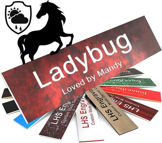 Personalized Horse Stall Name Plates, 2x12 Horse Stall Signs with Adhesive, All Weather UV Protected, Rustico Granite Plastic White Letters - Made in USA - S2